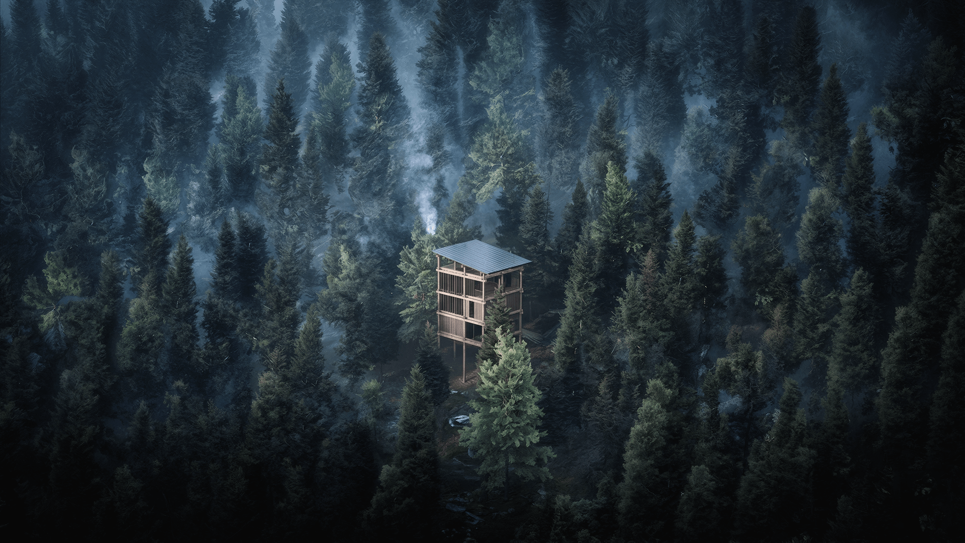 Treetop House
