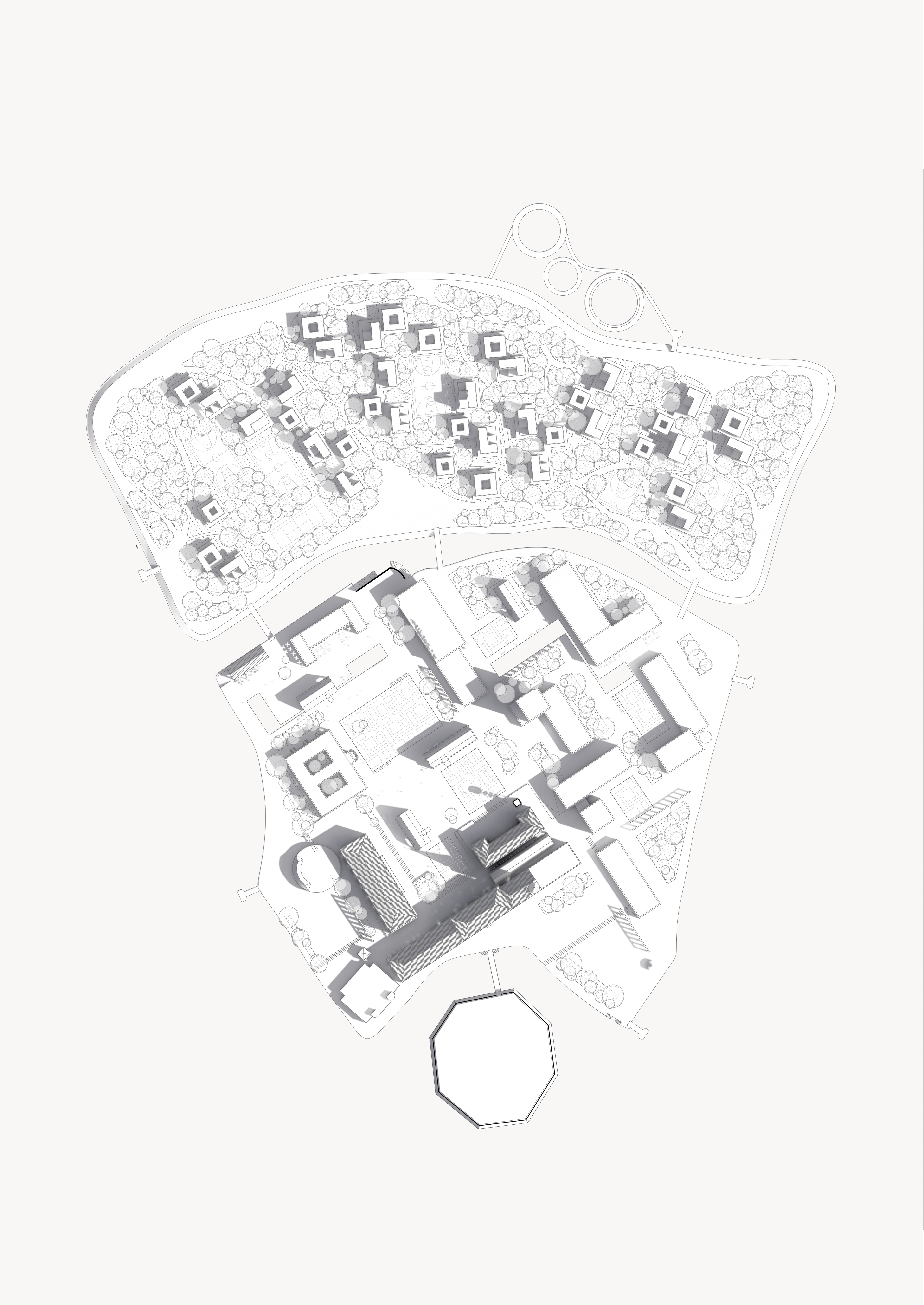 Poveglia Masterplan — section 1