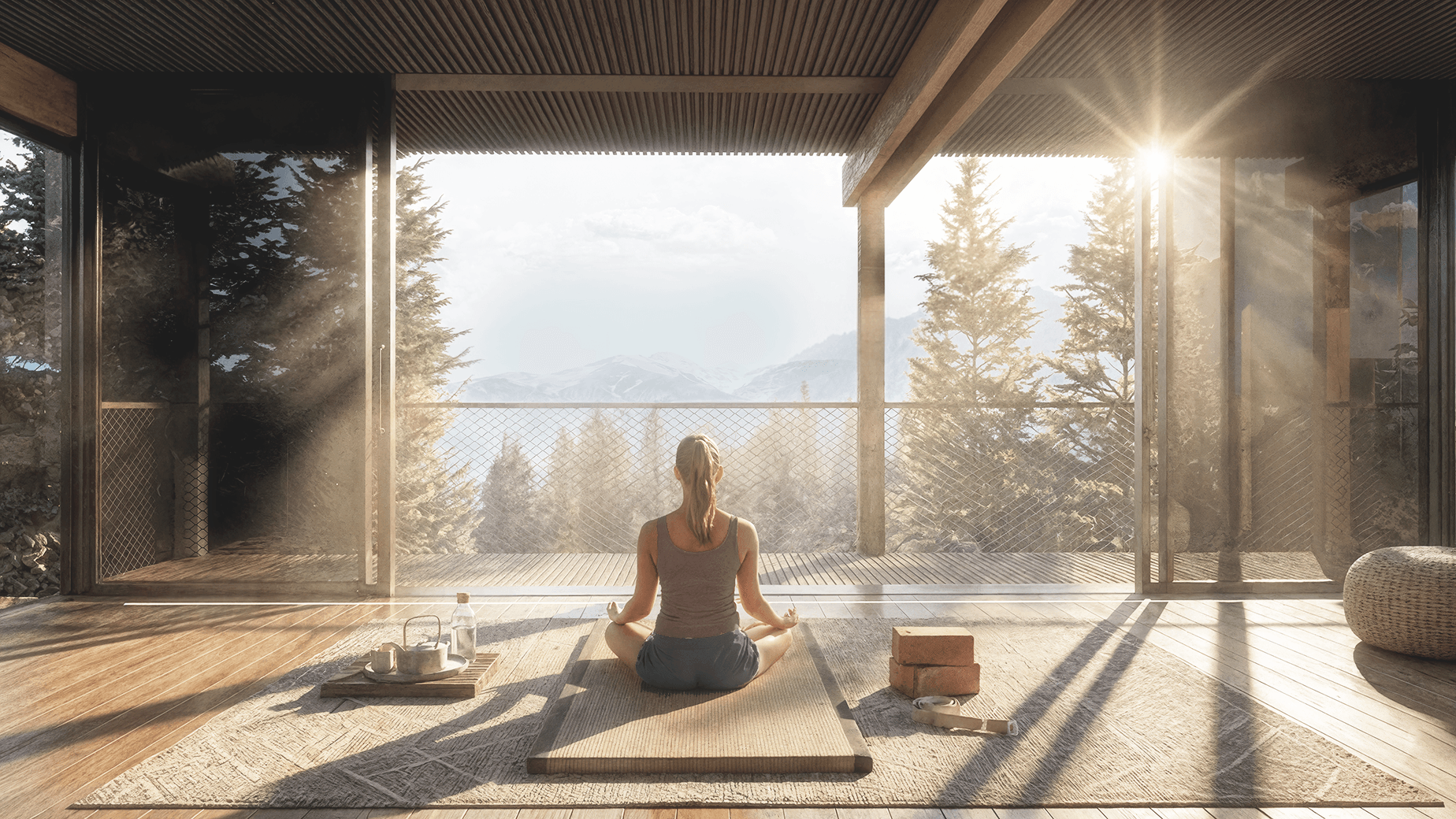Treetop House — section 3